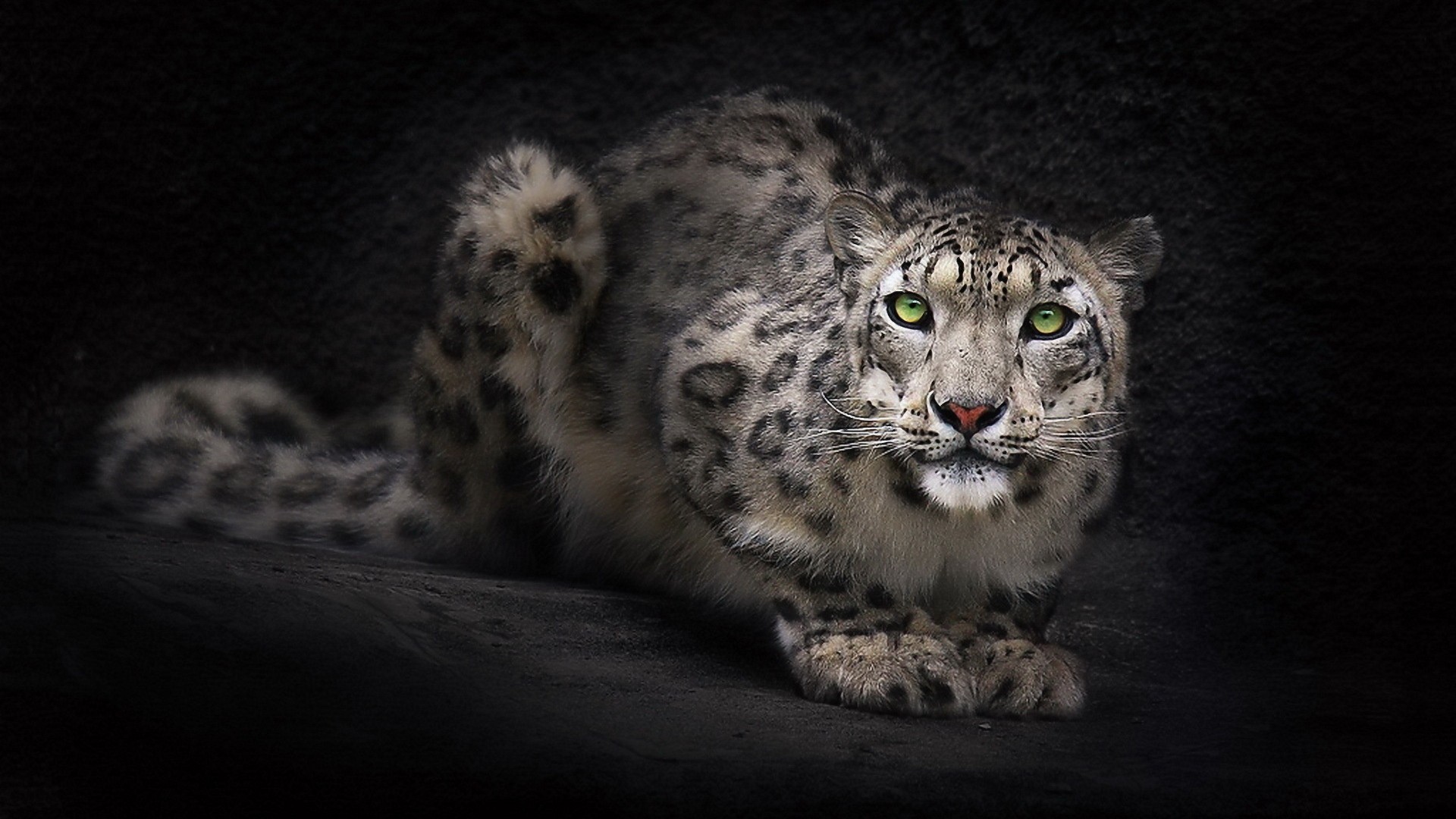 mac os snow leopard download